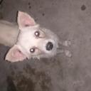 Kenneth Rex Pama - @RexPama - Twitter