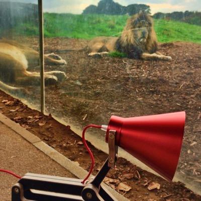 dd_direct's profile picture. innovative outdoor gear