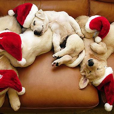 RosieRaeJaye's profile picture. Happily married with children love fashion,beauty,chocolate,wine,long baths,shoes,hugs most of all love my hubby and children dearly