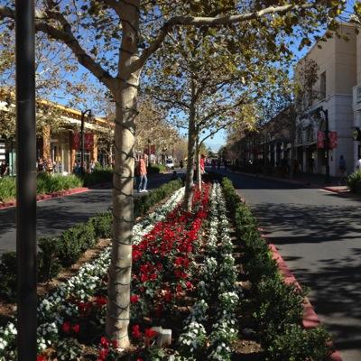 23amerah's profile picture. 