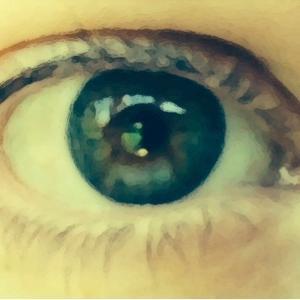 Profile Picture of Anne Lyn Ayotte (@annelynayotte) on Twitter