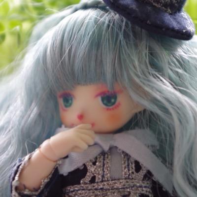 烏賊さんのプロフィール画像