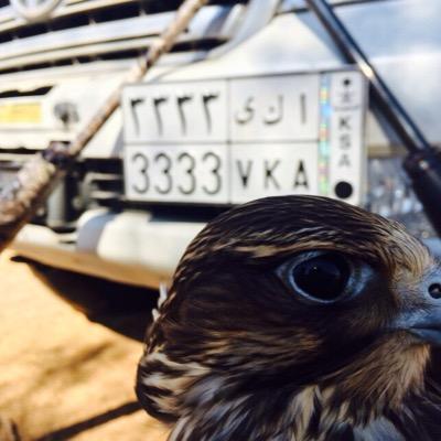 alcammr's profile picture. الجوود ثوب يستر عيووب الأجواد...والعز مبدا فـي صــدور المطانيخ...والبخل يهدم صيت شيخ لـه اوتاد...والطيب يرفع عبد كنه ولد شيخ... من الشماليه رفحــاء