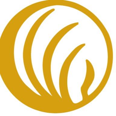 Tiffin University's chapter of National Alliance on Mental Illness