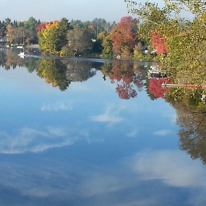 mferris1966's profile picture. 