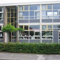De Goudvink #050 (@degoudvink050) 's Twitter Profile
