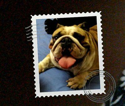 juanmapasal's profile picture. 