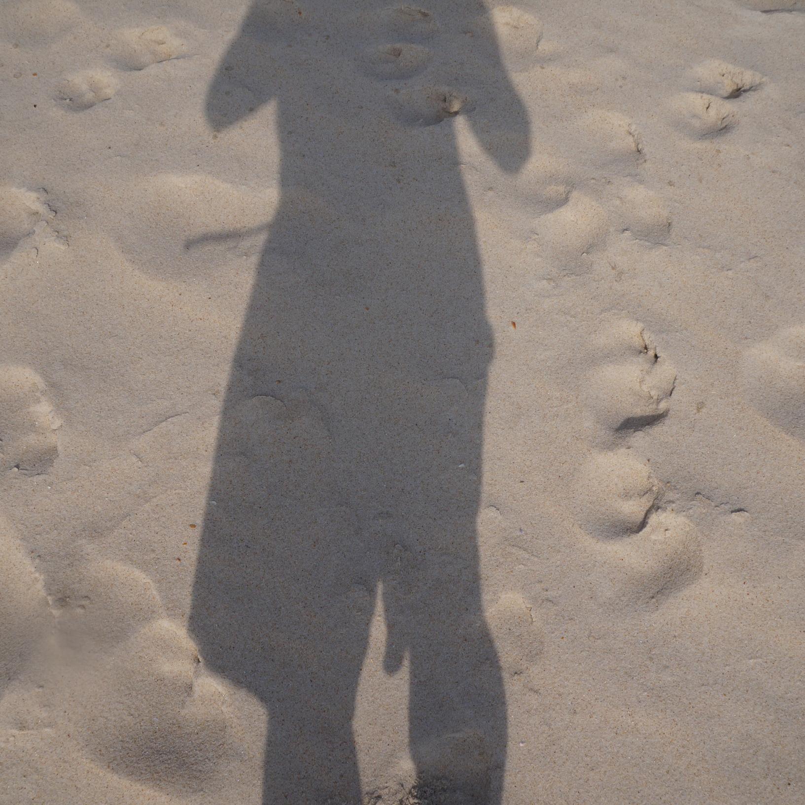 acheropito's profile picture. 