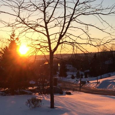 SyracuseSleepMD's profile picture. Pulmonologist and Sleep Medicine physician