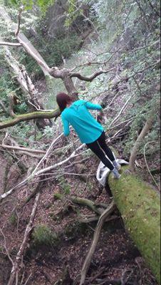 LauraTsuki's profile picture. :)