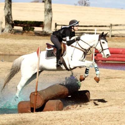 Scopey ponies and sparkly things tend to distract me. #Eventer #StraightEdge #MindYourMelon #TwitTwin:@SaddlepadAddict