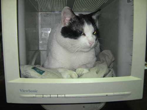 alexlizarraga's profile picture. 