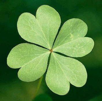 Be happy - have friends - enjoy your life