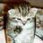 Graou_Chaton's profile image