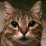 miwa_x_azarashi's profile picture. アザラシが大好きです(:3 っ)з 海遊館のアラレちゃんに出会ってからアザラシの虜に。アザ活をする為にミラーレス一眼を購入。撮り溜めた写真を少しずつ投稿しています🦭Instagram🦭✨⬇️