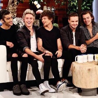 We're better than FBI or CSI.. Yes! You know who we are.... We're DIRECTIONERS.