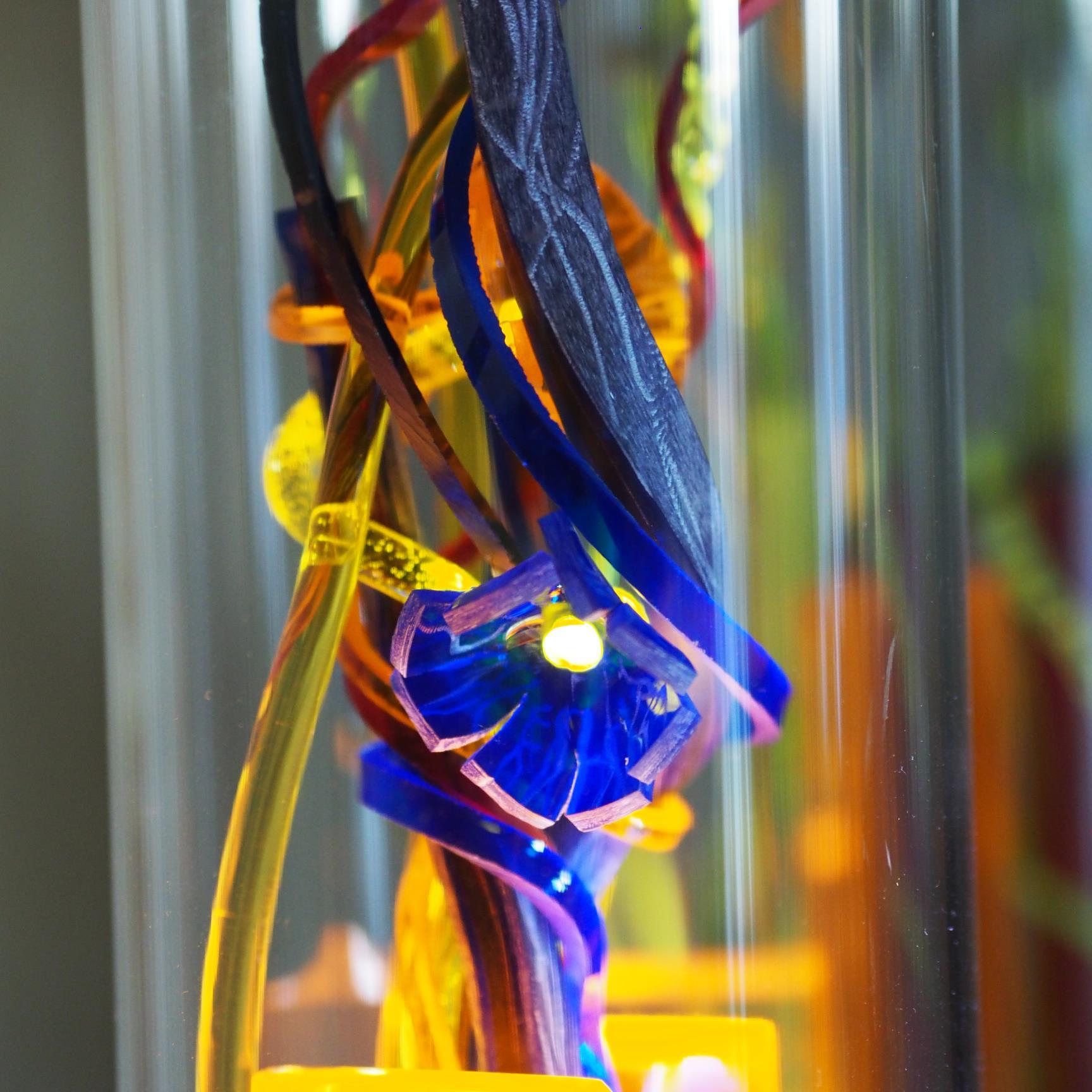 lightsoflife14's profile picture. 