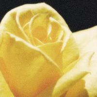 Joliet Zonta Club (@jolietzonta) Twitter profile photo