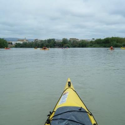 herrero_rafael's profile picture. 