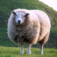 Jimmy O'Keefe (@matthew2028) 's Twitter Profile Photo Jimmy O'Keefe (@matthew2028) 's Twitter Profile Photo