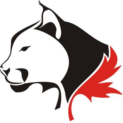 Official Account of the Stephen Lewis 2018 Senior Badminton Team. #GoLynx