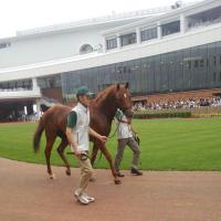 大学生の競馬 (@s_deepimpact) Twitter profile photo