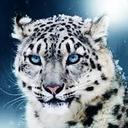 Edgar Leonel Arce Bo - @TankEvans_21 - Twitter