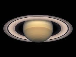 NadiAlagukannan's profile picture. 