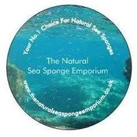 Sea Sponge Emporium™(@SpongeEmporium) 's Twitter Profile Photo