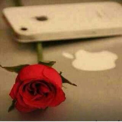 سبحان الله وبحمده سبحان الله العظيم