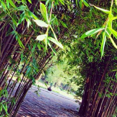 MiVerdeTierra's profile picture. RT a las mejores y más relevantes noticias de México y el mundo sobre #CambioClimático, #MedioAmbiente, #Ecología y #Ciencia.