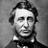 hdthoreau1's profile image