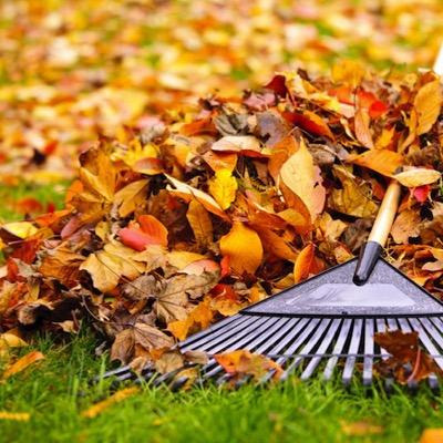 $20 for your yard!