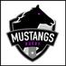 Mustangs Rugby (@Mustangs7s) Twitter profile photo
