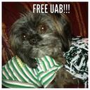 Matt_Ramsay - @MattnPatspicks - Twitter