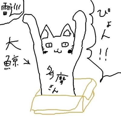 多摩さん@鹿屋