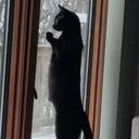 Liz Meyer - @1958lizmeyer - Twitter