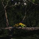 Greg Forest - @Missile_Forest - Twitter