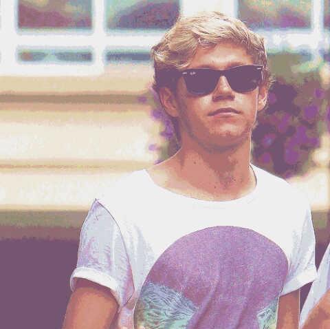 loved One Direction from the beginning and will love them till the end 
I made this bio perfect by putting Niall Horan in it  

Hoping Niall's following list