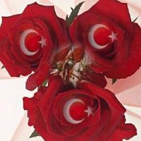 emel caksak (@caksakemel) 's Twitter Profile