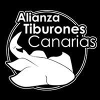 The Canary Islands' Shark Alliance (ATC) vision is to put the Canary Islands on the forefront of worldwide shark diving. Sharks conservation is our main aim.