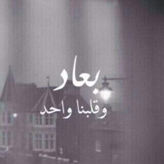 قُبله لمن هو غائب ، وَ حن قلبي لِـ لقاههَ !