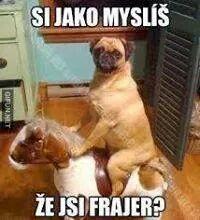 MariskaWajco's profile picture. 