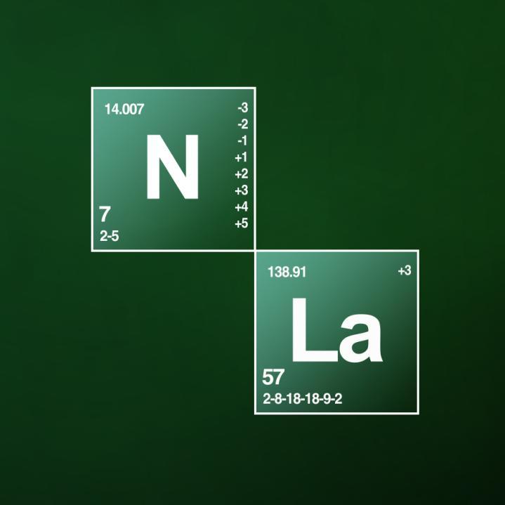 NeeLandro's profile picture. 