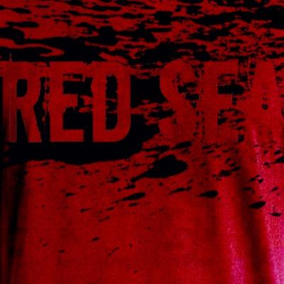 TheRedSeaRM's profile picture. Official site of the Red Mountain Boys Basketball Student Section #RedSea