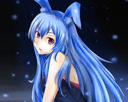 私はウサギです しかし、私は大好きです 猫           i am usagi but i love neko!