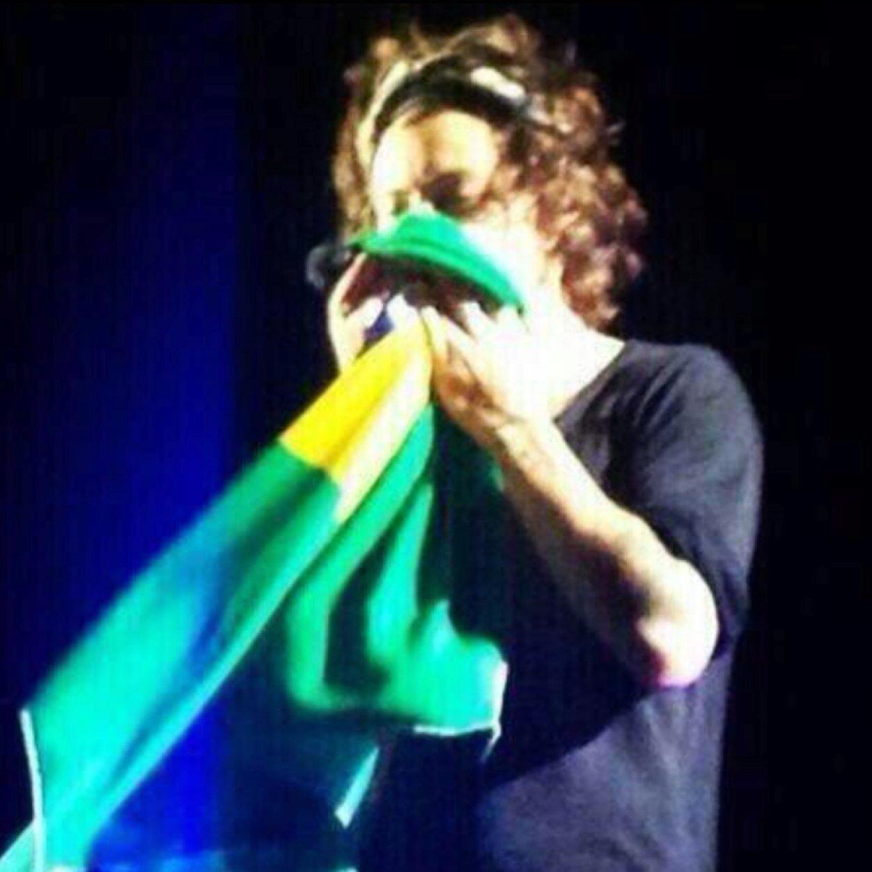 Hey,i am a brazilian fan of One Direction!Follow me for news about the boys :) I saw 1D in São Paulo, 05/10