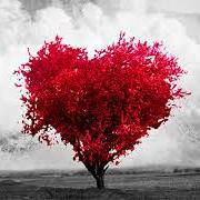 Sera que existe amor verdadeiro?