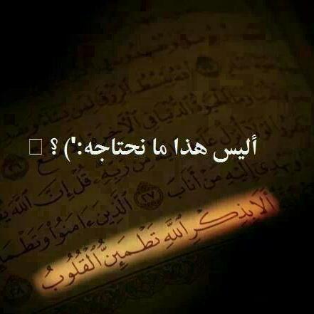 ‏‏‏‏‏‏‏‏‏‏‏أنشئ هذا الحساب لأناقتك سيدتي.. شنط نسائية بأسعار منافسه        لطلب و الإستفسار أرحب بكم على الخاص