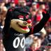 Cincinnati Bearcats (@bearcatsonscout) Twitter profile photo